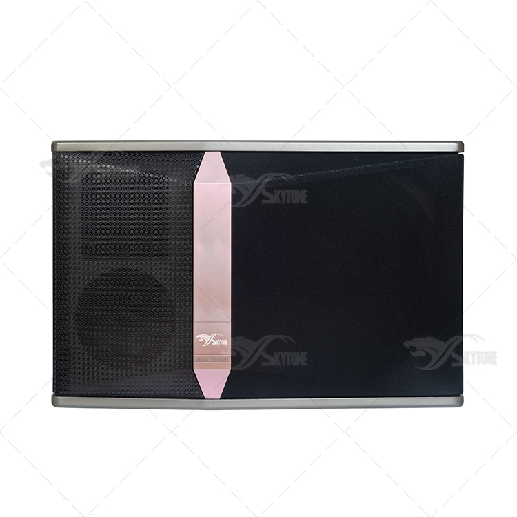 Ki512Card bag speaker12inch